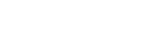 Audio Acoustics, Inc.